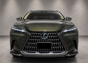 Verde1