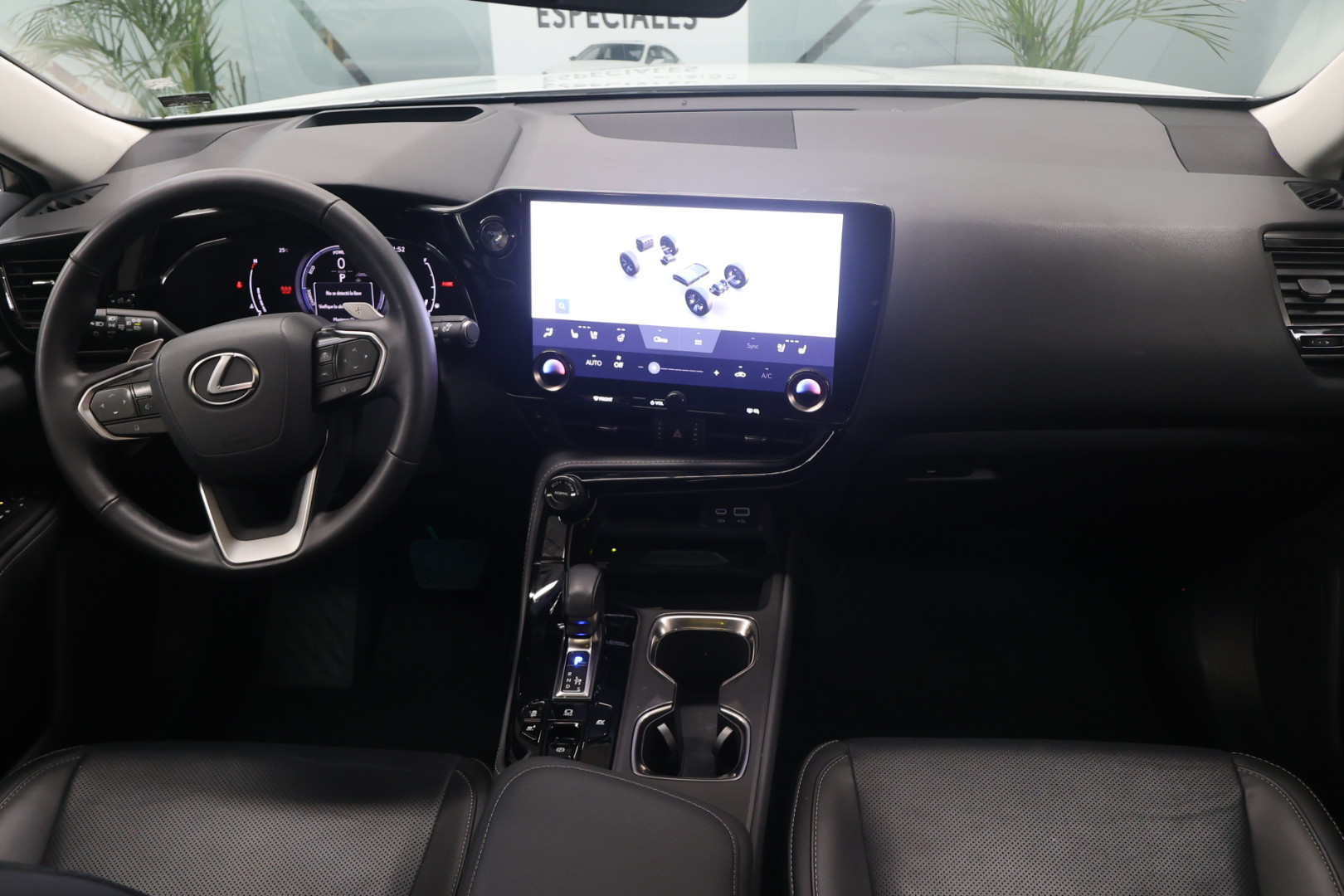 1F1A6385.JPG